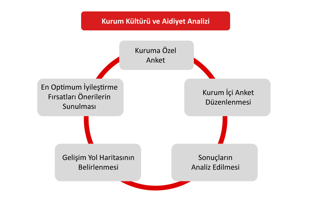 Kurum Kültürü ve Aidiyet Analizi